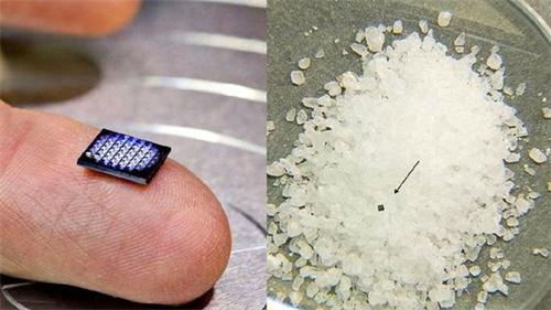 Tiny microchip placed on fingertip compared with salt grains